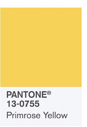 Primrose Yellow