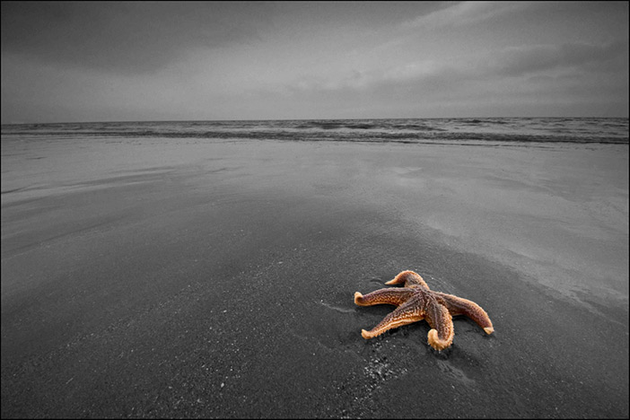 'Wait For Me......' - Llanddulas Beach