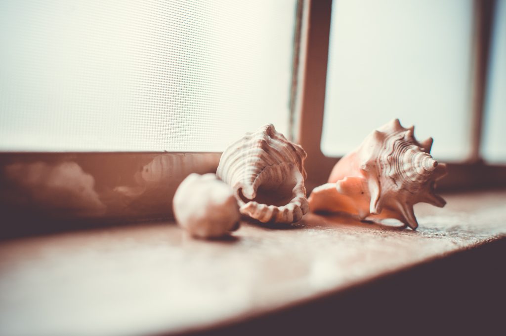 11 Unique Ways To Use Shells In Your Home Decor