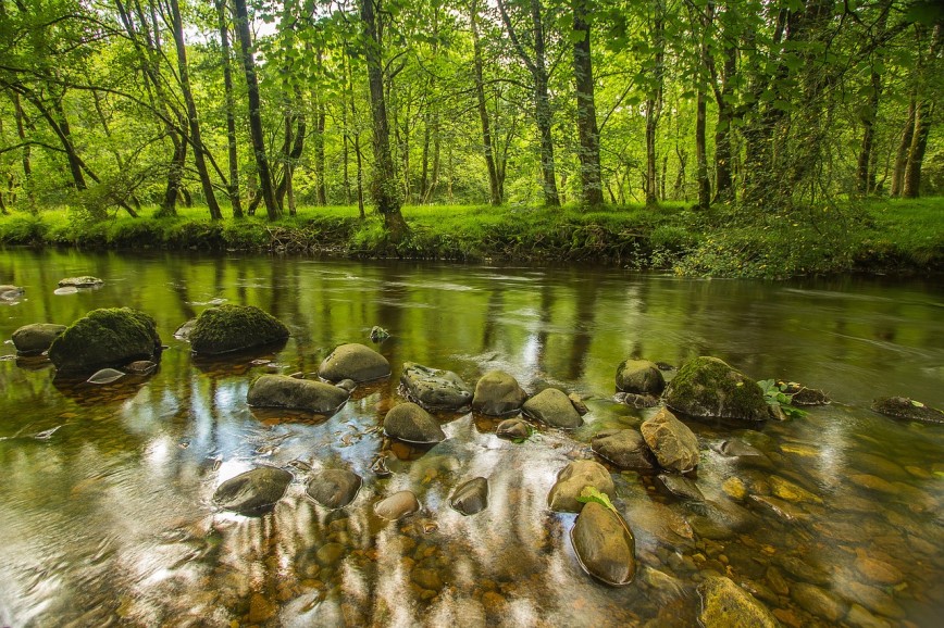 How To Live A More Sustainable, Greener And Efficient Life
