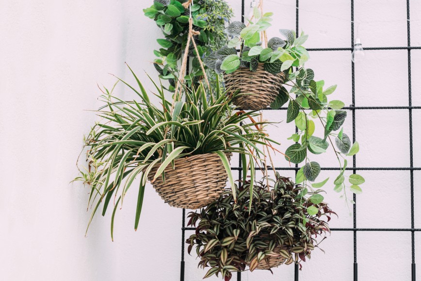 Plants In A Basket - 5 Botanical Looks For Your Bathroom