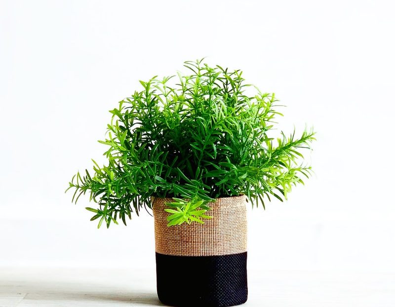 5 Botanical Looks For Your Bathroom