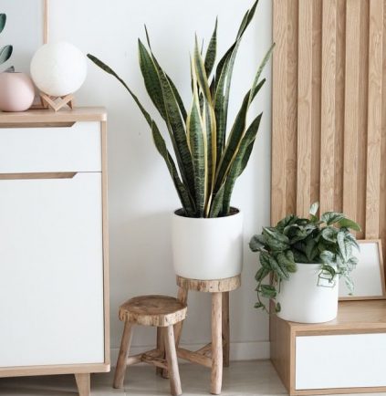 5 Botanical Looks For Your Bathroom