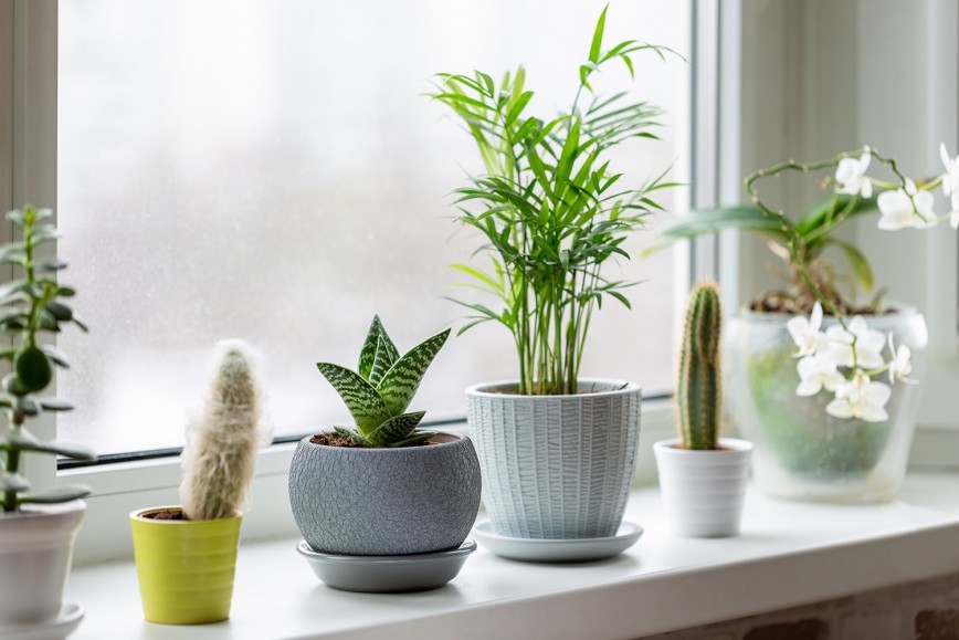 Home Improvement: How To Replace A Windowsill