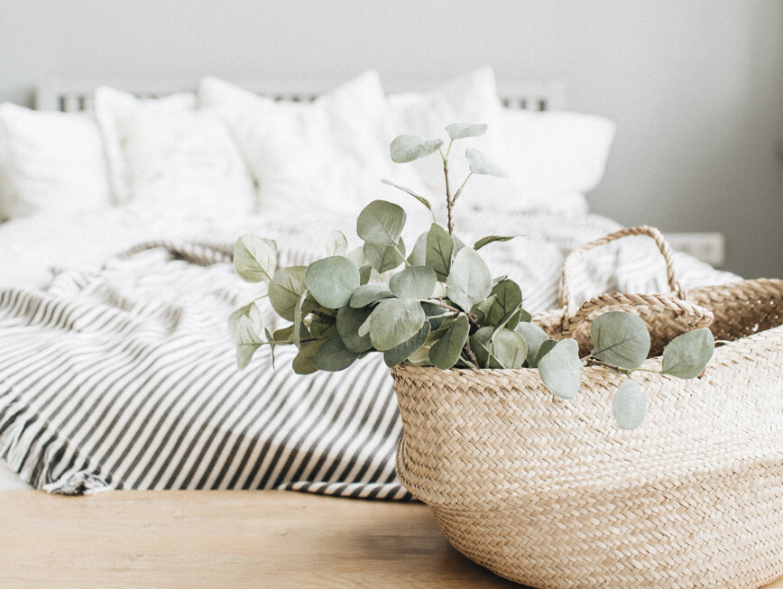 Neutral bedroom with house plant
