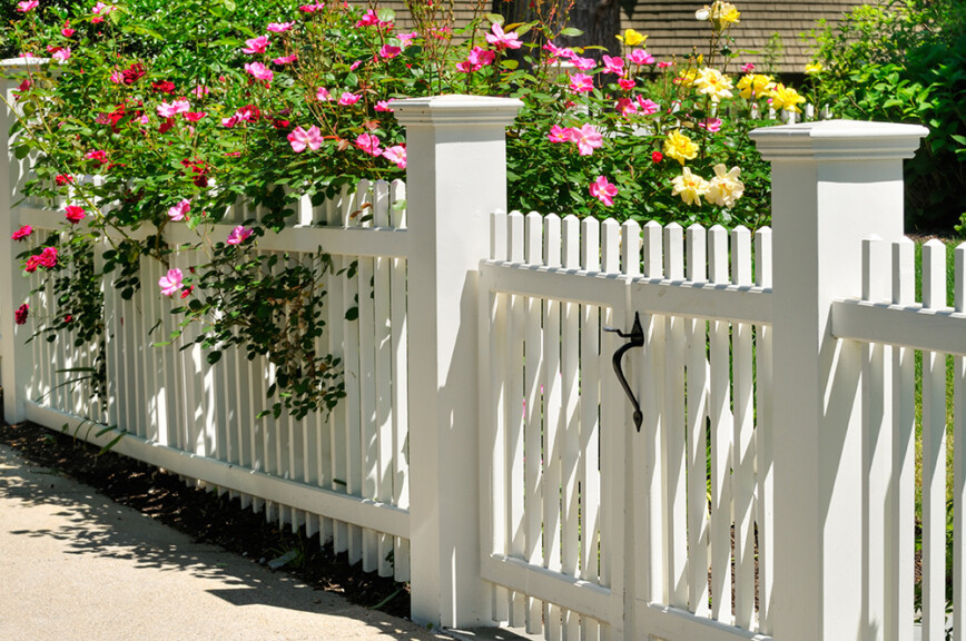 Cute white wooden cottage fence and gate with roses