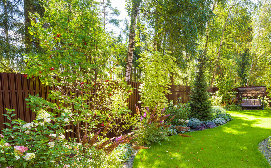 Trees planted to shade hot garden