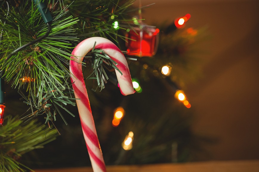 Faux Christmas tree with candy cane sweet as Christmas decoration